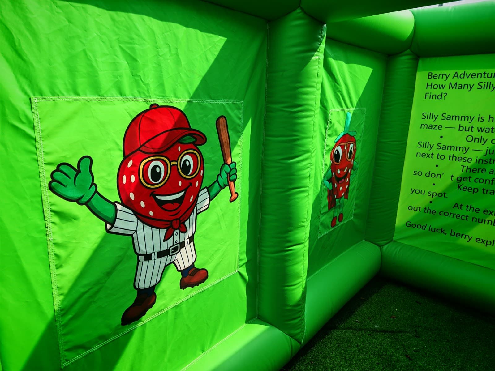 Berry Bonanza Adventure Maze - Berry Bonanza Adventure Maze 4
