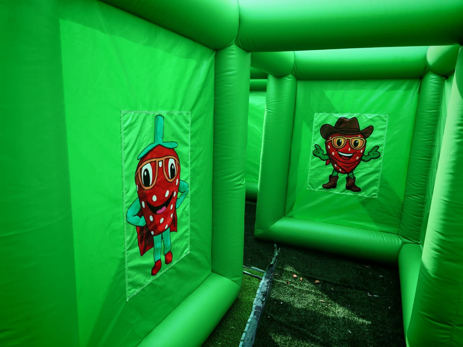 Berry Bonanza Adventure Maze - IMG_5004