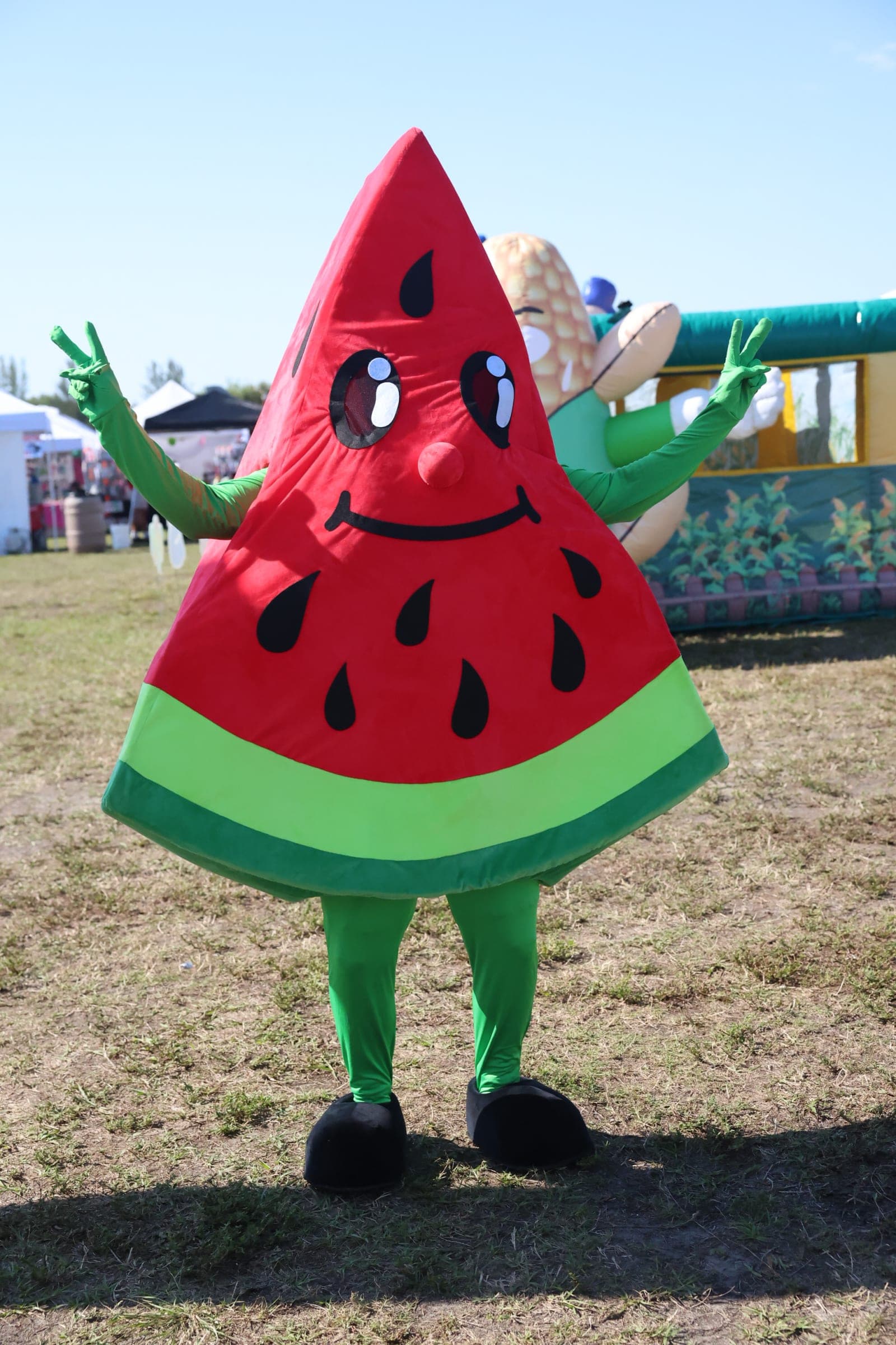 Whacky Wally the Watermelon - 2025 South Florida Watermelon Festival-22907
