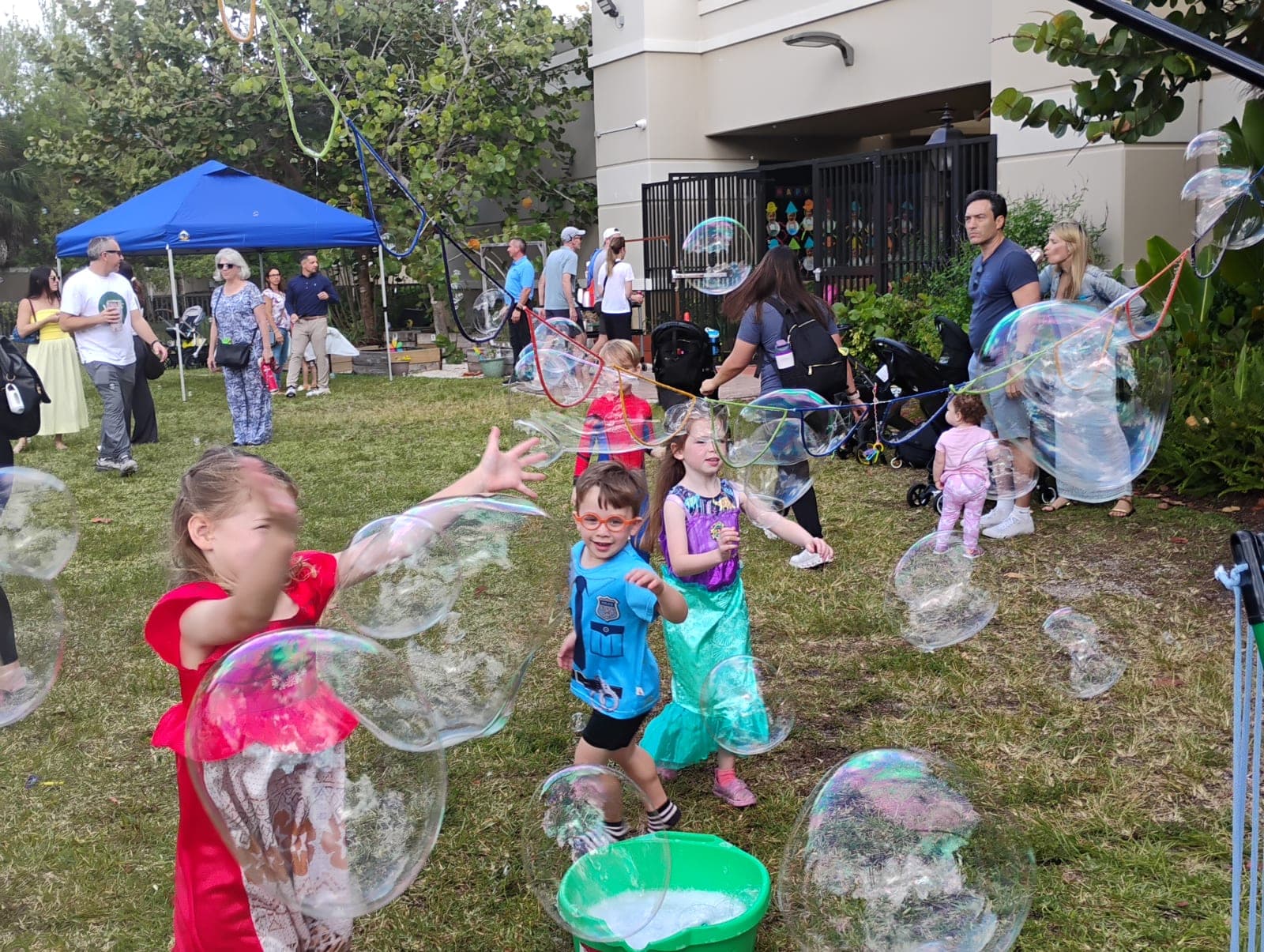 Bubble Activity - 1000001813