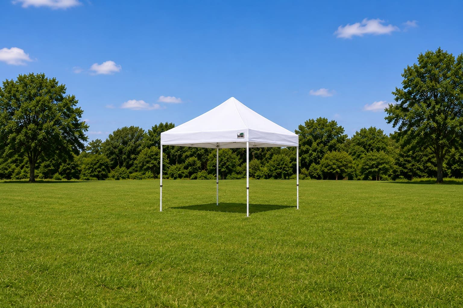 10x10 Outside Canopy