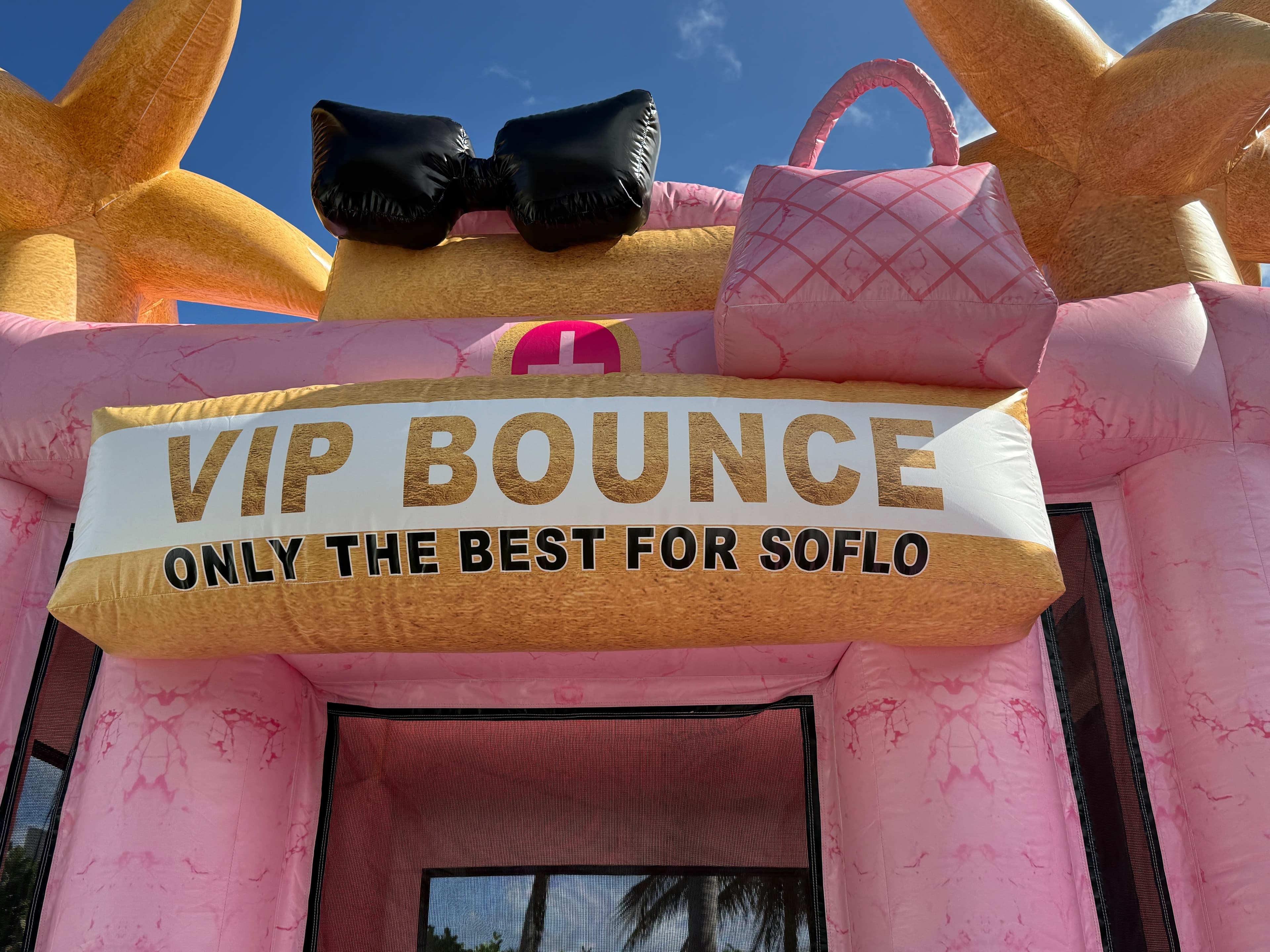 Glam Girl VIP Bounce & Slide - Photo Jan 25 2026, 1 49 02 PM