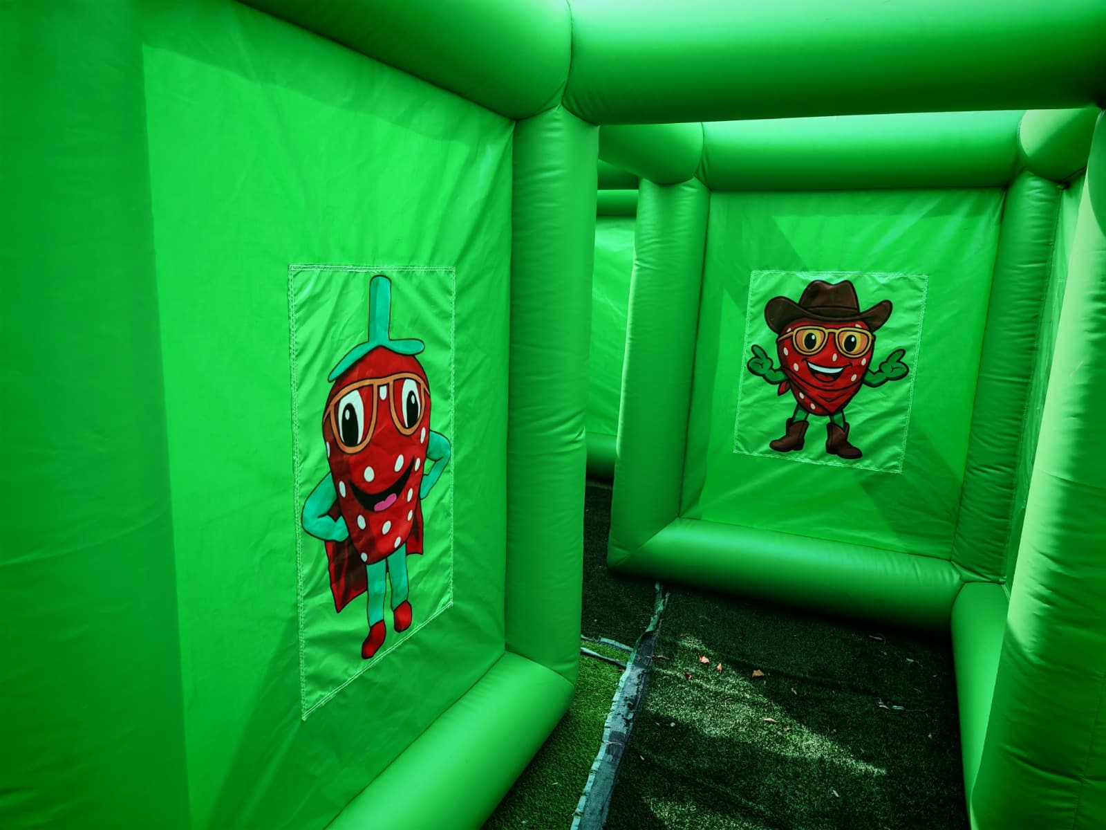 Berry Bonanza Adventure Maze - IMG_5004