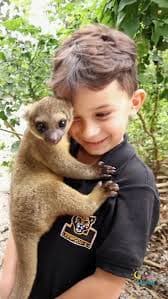 Petting Zoo - images