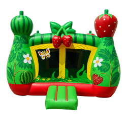 Berry Bounce House