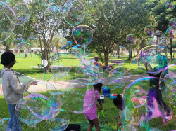 1411e70a 82ad 410a bd2f 28077ab7289b 1 all 1544 1754950479 Bubble Activity Experience