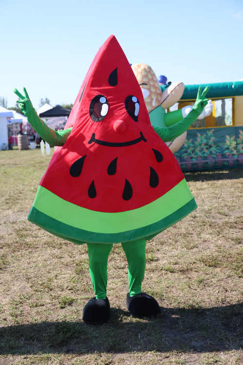 Whacky Wally the Watermelon Mascot