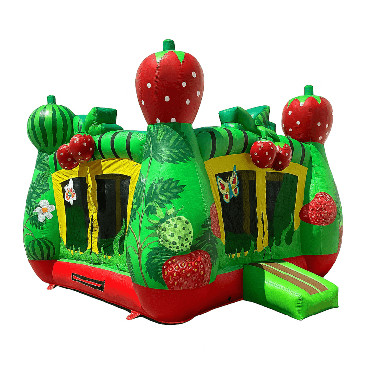 Bounce House Rentals