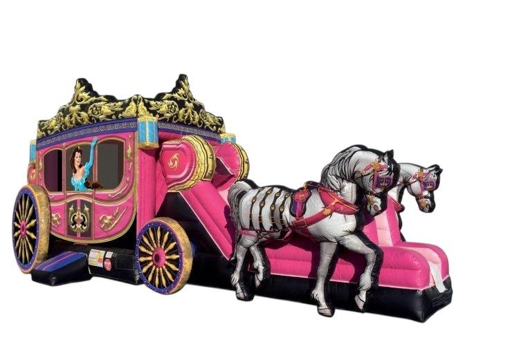 Princess Carriage Combo