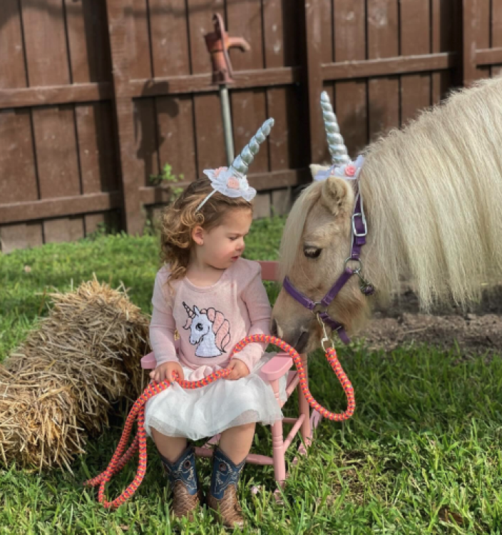 Petting Zoo 2 U