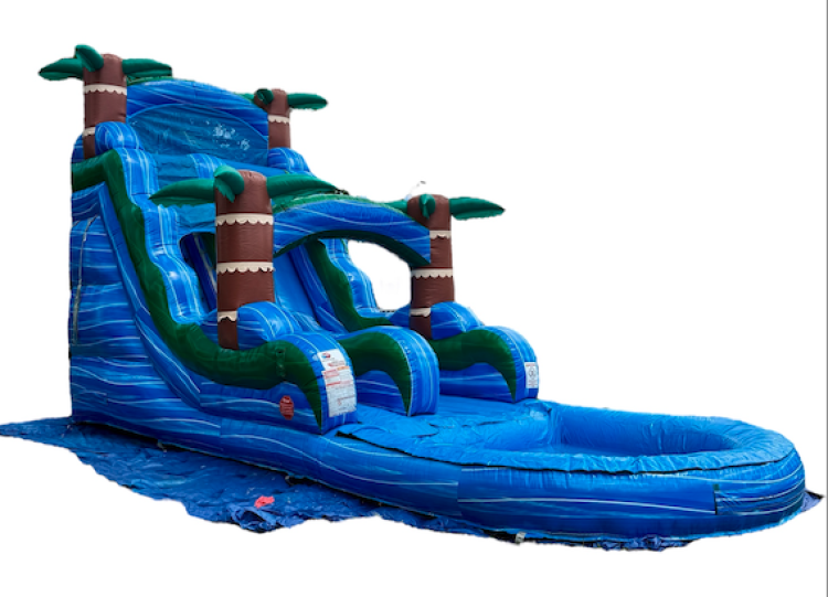 Tropical Tides Single Lane Slide