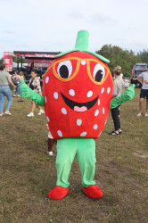 Silly Sammy the Strawberry Mascot
