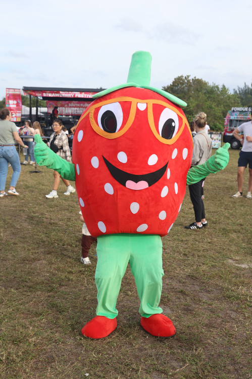 Silly Sammy the Strawberry Mascot