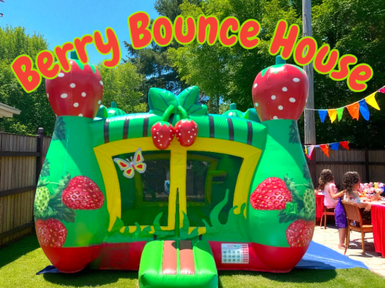 Berry Bounce House 13 ft