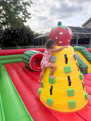 Strawberry Melon Playland 30 ft
