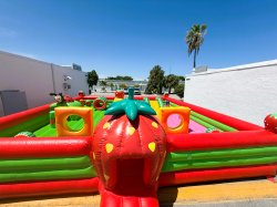 Strawberry Melon Playland 30 ft
