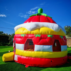 IMG 4720 1758316067 1 Strawberry Shortcake Bounce House 15 ft
