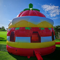 IMG 4721 1758316068 1 Strawberry Shortcake Bounce House 15 ft