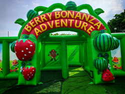 IMG 5002 retouched 1758752356 Berry Bonanza Adventure Maze 30 ft