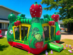 backyard20party202 1758754031 Berry Bounce House 13 ft