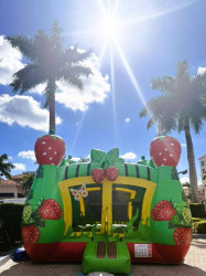 Berry20Bounce20web20Green20Market 1763396107 Berry Bounce House 13 ft