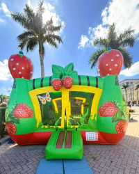 Berry20Bounce20web20main20alt 1763396106 Berry Bounce House 13 ft