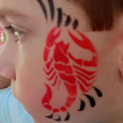 Pinkys20Parties205 1764536959 Facepaint Party