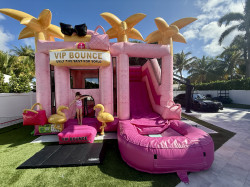 Photo20Jan20252020262012047200420PM 1769369796 Glam Girl VIP Bounce House with Slide